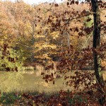 arlette - étang picard (8)