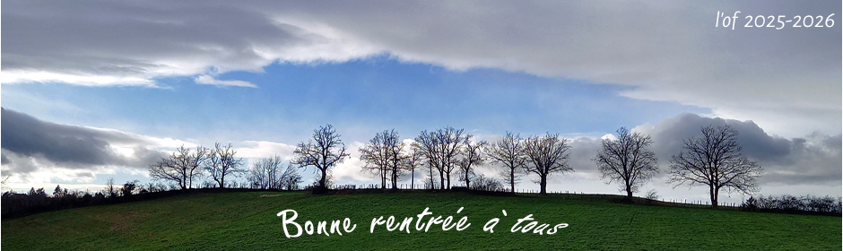 Objectif feuillantin